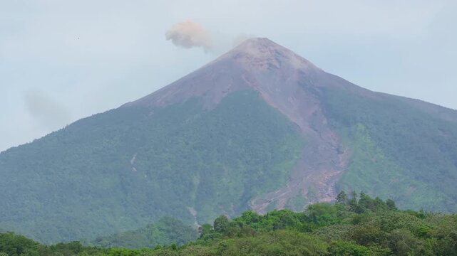 Active Fuego Volcano releases volcanic smoke and ash from its crater in Guatemala. Lush green tropical rainforest covers the mountain slopes with lava flow channels visible on the volcanic cone.