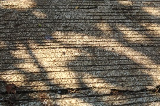 Textured concrete road surface with parallel lines and tree shadows