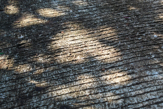 Textured concrete road surface with parallel lines and tree shadows