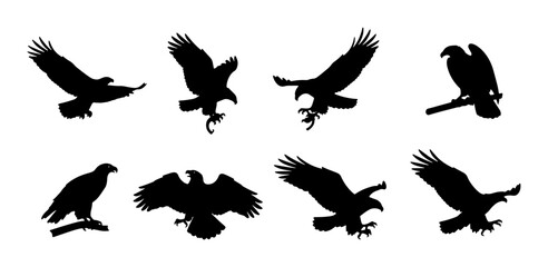 Obraz premium Eagle Silhouette Set, Majestic Bird Vector Graphics, Predatory Raptor Poses, Wildlife Iconography, Freedom Symbolism, Nature Elements, Black and White