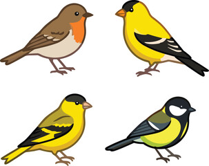 Vector illustration collection of common backyard birds including robin goldfinch and titmouse isolated on a white background © MstParvin