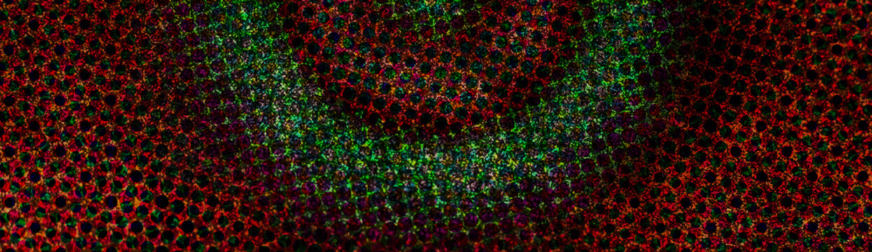 Design com textura de ru&iacute;do org&acirc;nico e profundidade oculta. Estilo art&iacute;stico para capas digitais.