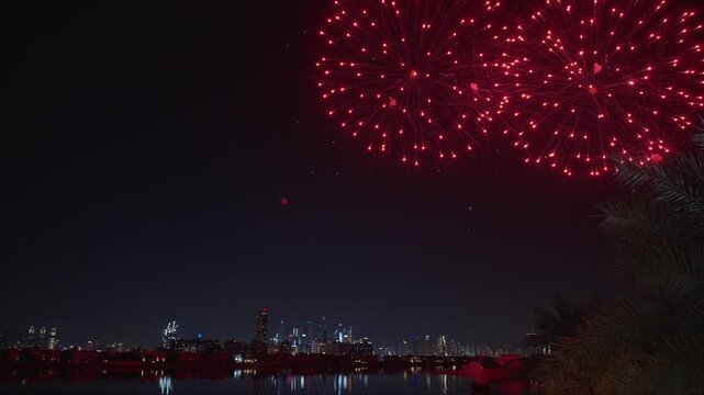 Colorful fireworks illuminate the night sky above Dubai cityscape with vibrant red green and white bursts. Palm tree silhouettes frame the scene as explosions reflect on calm water below.