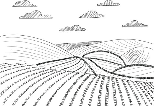 Hand drawn agricultural landscape sketch vector illustration with rolling farmland fields rural countryside scenery concept