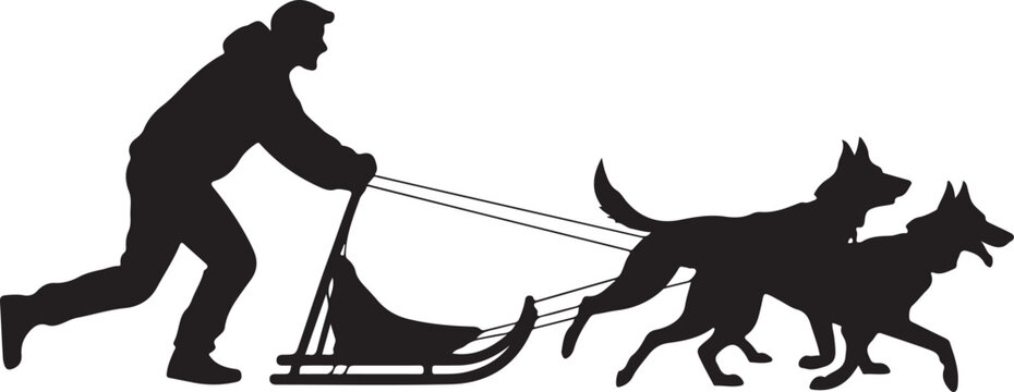 Sled dog training session with harness and sled