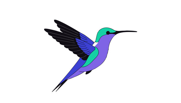 Hummingbird, colorful bird, purple green, flying animal, wildlife icon