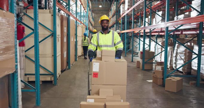 Boxes, man and logistics worker in warehouse for delivery, inventory or order shipping. Cardboard packages, industry and male supply chain employee with distribution for cargo parcels for export.