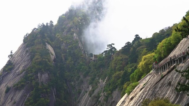 A telephoto shot tracking tourists walking along a narrow concrete walkway anchored to a near-vertical granite cliff face on Mount Hua as thick mountain mist rises from the valley.
