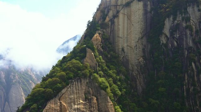 A dramatic low-angle tilt-up shot tracing the immense height of a granite peak on Mount Hua. Wispy white clouds drag across the forested summit under an overcast sky.