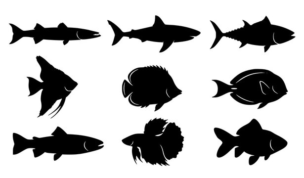 Modern Marine Fish Silhouette Collection Vector Clipart Set