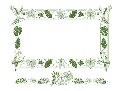 Whimsical hand-drawn tropical doodle vector set with rectangular frame and tropical border featuring monstera, hibiscus, banana and palm leaves, parrots and jungle foliage for invitations and print de