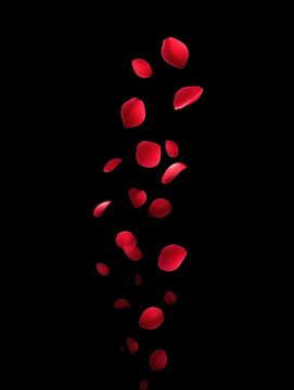 Falling red rose petals against a dark background, creating a romantic ambiance.