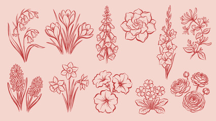 Hand drawn botanical line art set with different flowers. Vintage floral elements © bow