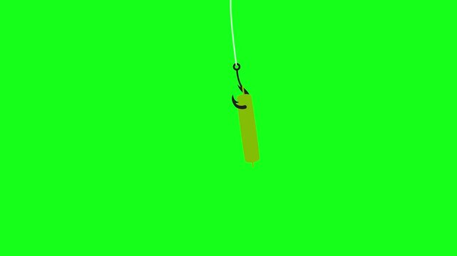 Gold Coin on Fishing Hook Money Trap Green Screen 4K