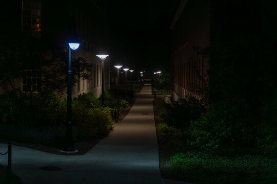 Serene university campus pathway at night, illuminated by a row of modern LED streetlights casting soft light on the sidewalk, surrounded by dark architectural buildings and lush green bushes.