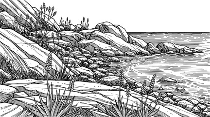 Fototapeta premium Rocky Shoreline with Coastal Plants and Gentle Waves in a Detailed Pen and Ink Illustration