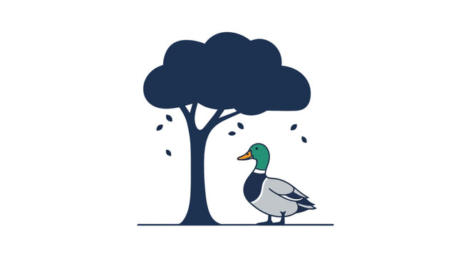 Mallard Duck Standing Under Rain.