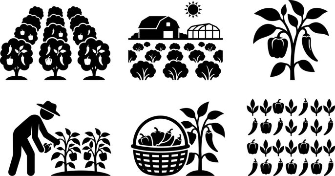 Black silhouette pepper farm icon set, bell peppers growing on trees vector image, farmer picking peppers harvest.