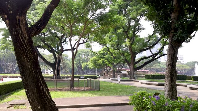 Scenic View of a Tropical University Campus Park in Bangkok Thailand