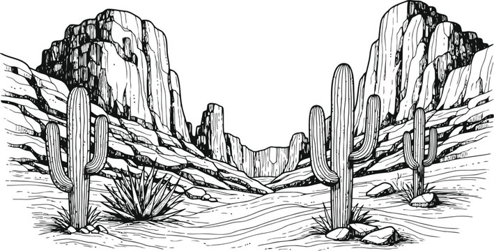 Sonoran Desert landscape with saguaro cacti and rugged mountains in a detailed line drawing
