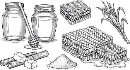 Sweeteners collection with honey jars sugarcane honeycomb and granulated sugar in a hand-drawn sketch style © Ishtiaq