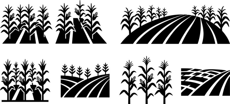 Agricultural corn field landscape icons depicting rows of maize plants and rolling hills for farm industry branding and rural design projects isolated vector graphic.