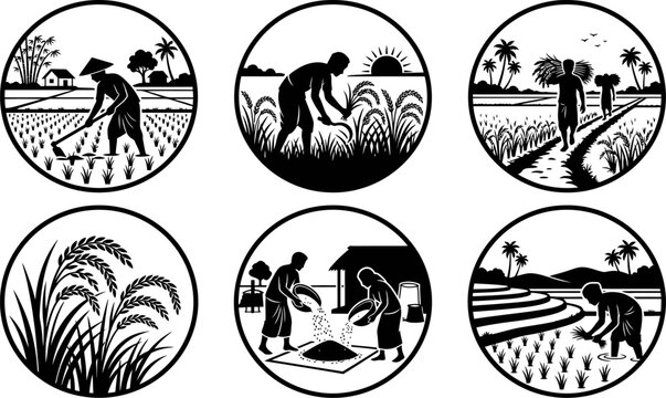 Circular icons featuring farmers working in paddy fields using traditional methods during sunset and sunrise times as agricultural illustrations for web design use.