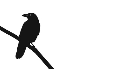 Black bird sitting on branch alone. © Nur
