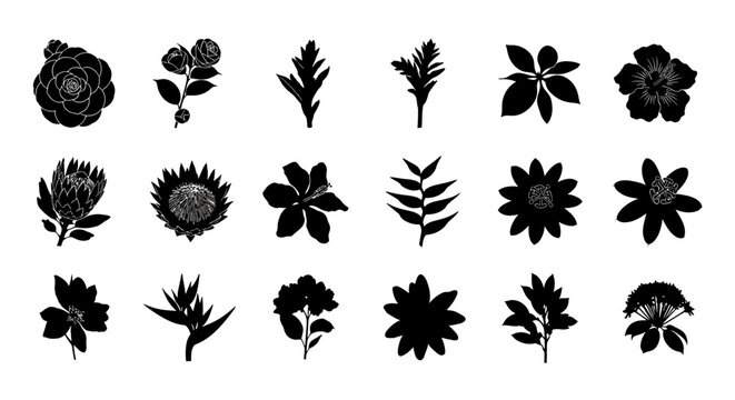 Collection of various black silhouette floral icons including roses lilies proteas and other garden flowers isolated on white background for design and decoration