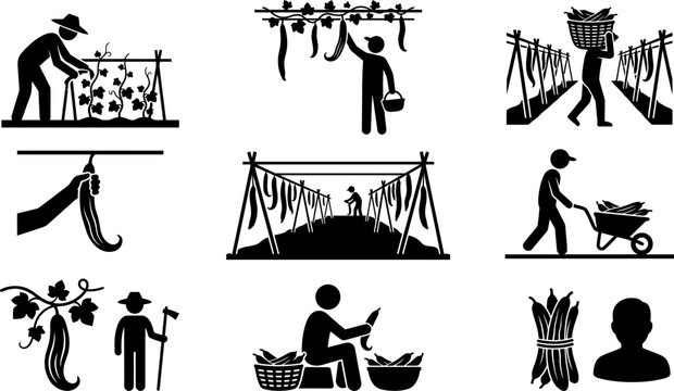 A comprehensive set of black vector icons on a transparent background showing different activities related to bitter gourd or cucumber cultivation.