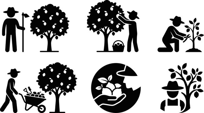 Farmer picks fruit from tree watering seedling farmer plants sapling farmer harvests crops farmer gardening plants tree cycle earth care.