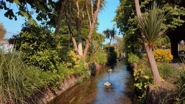 Outdoor static wide shot captures a clear flowing stream lined with lush green shrubbery and cordyline palm trees under a bright blue sky at Victoria Park in Paignton Devon United Kingdom.