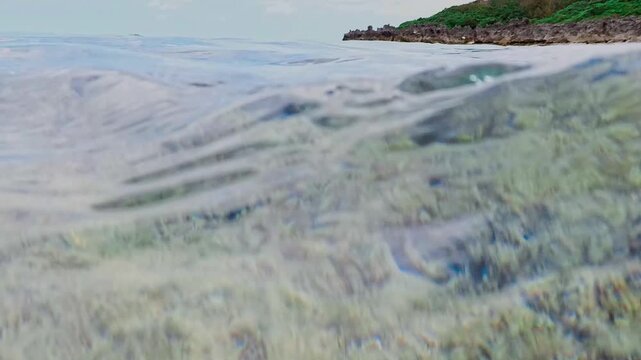 半水面ショット：水面を境界線に空と緑の海底を同時に捉えた美しいスプリット映像