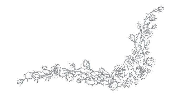 Elegant Rose Vine Border Design - Black and White Line Art