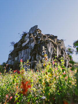roca senderismo cerro plantas