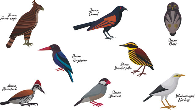 Illustrated birds of diverse species.