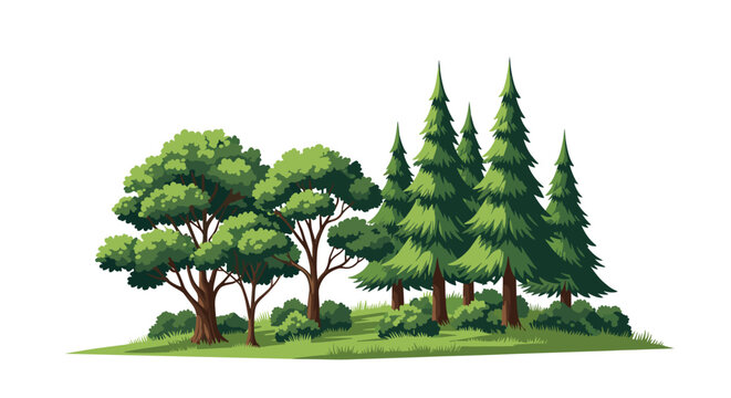 Diverse group of green trees including bushy deciduous types and tall pointed conifers growing together on a small patch of grassy land.
