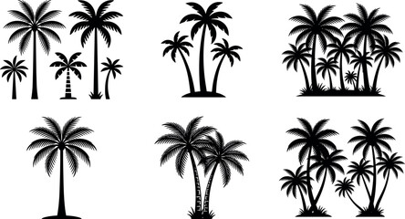 Fototapeta premium Tropical Palm Tree Silhouette Set with Coconut Trees, Island Forest Landscapes, and Exotic Summer Nature Vector Illustration Collection