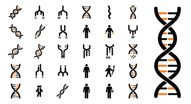 Comprehensive collection of medical and scientific icons representing DNA strands, human silhouettes, and genetic research symbols in black and orange.