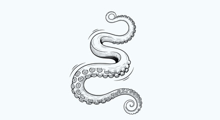 Fototapeta premium Detailed hand-drawn ink illustration of a curling octopus tentacle with suckers clearly visible against a light blue textured background for art.