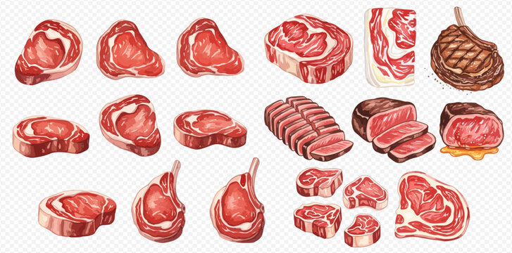 Collection of various raw beef cuts, including steaks, ribs, and roasts, ready for cooking.