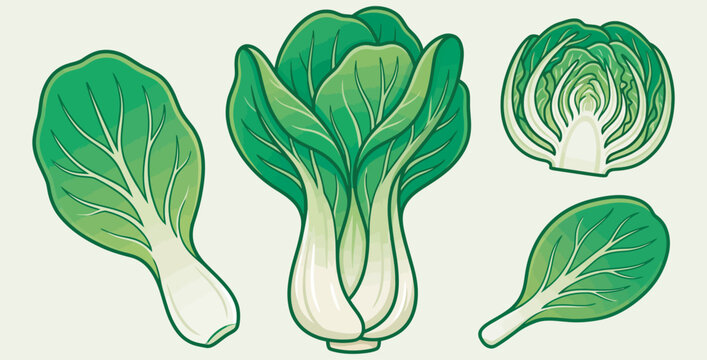 Collection of fresh green bok choy vegetables in various healthy forms on transparent background
