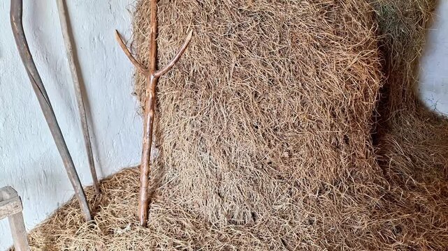 Rustic haystack stored inside traditional rural barn with wooden tools and natural straw texture. Authentic countryside farming scene showcasing agricultural heritage and village life