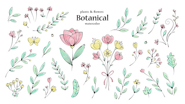 花や葉の植物の水彩イラスト ボタニカルなペン画風の手描きセット