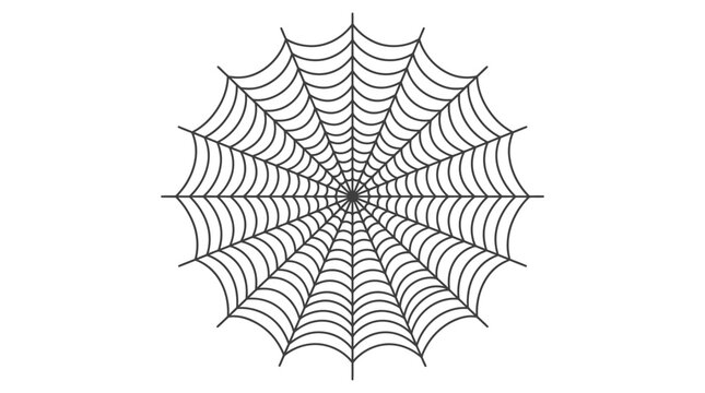 Intricate spider web vector illustration featuring sharp dark lines on a clean white graphic design background