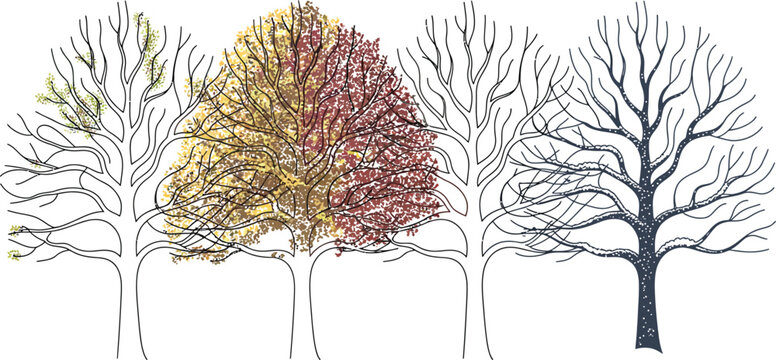 Autumn trees, colorful foliage, bare trees, seasonal icons, vector illustrations