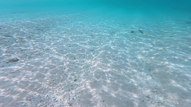 水中撮影：与論島の透き通るヨロンブルーの海と白砂の海底に揺らめく美しい光の網目