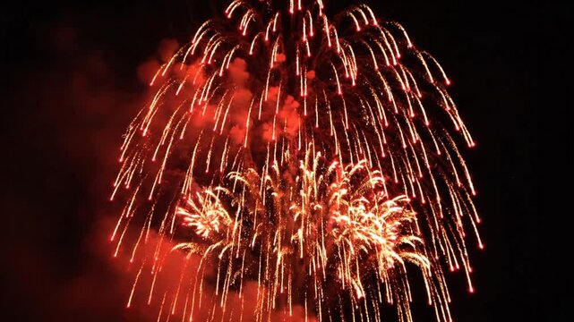 Vibrant fireworks display exploding in the dark night sky.