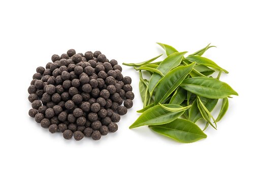 Fresh blackberries and green tea leaves on white background minimalist composition. ctc tea