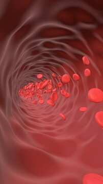 Red Blood Cells flow in the vein animation. Full HD. 4K